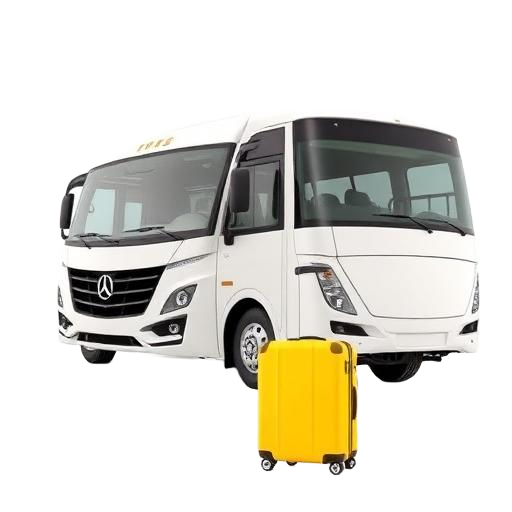 Tours & Travels
